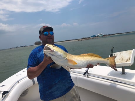 Barracuda, King Mackerel / Kingfish, Red Snapper fishing in Port O'Connor, Texas