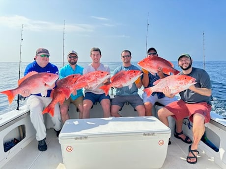 Red Snapper Fishing in Biloxi, Mississippi