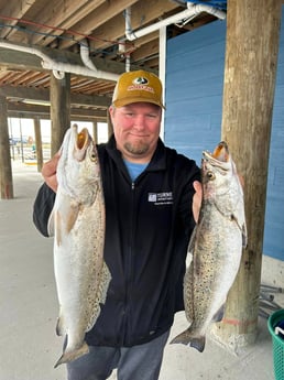 Speckled Trout / Spotted Seatrout Fishing in Golden Meadow, Louisiana