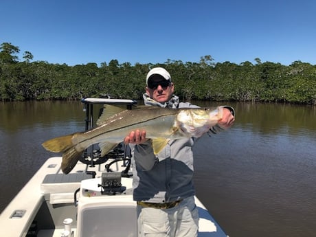 Fishing in Miami, Florida