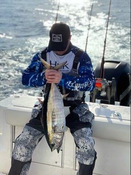 Blackfin Tuna fishing in Charleston, South Carolina