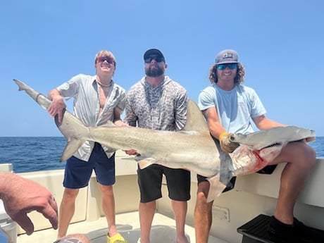 Hammerhead Shark Fishing in Port Aransas, Texas
