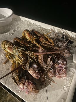 Fishing in Key West, Florida