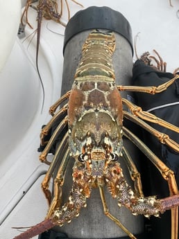 Fishing in Key West, Florida