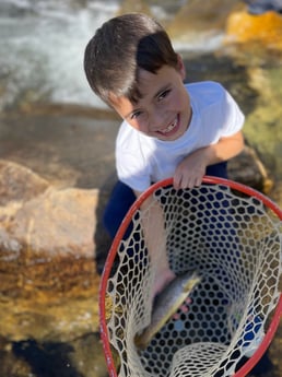 Fishing in Hume, California