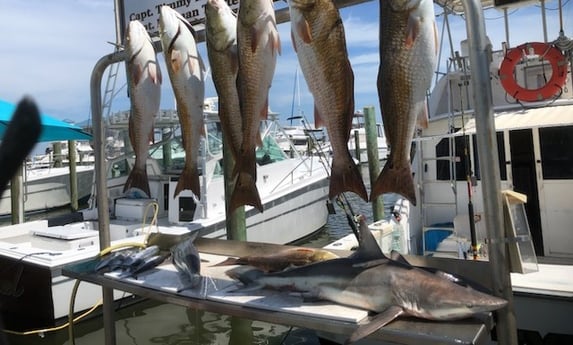 Fishing in Biloxi, Mississippi