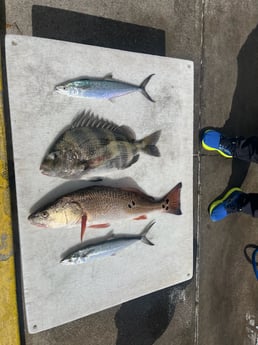 Fishing in Destin, Florida