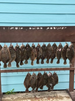 Fishing in Port O&#039;Connor, Texas