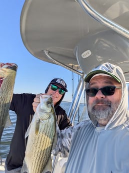 Fishing in Lewisville, Texas