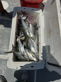 Fishing in Fernandina Beach, Florida