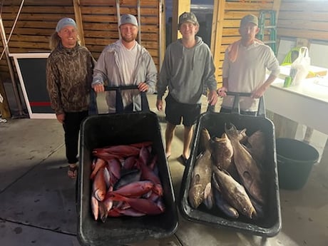 Scamp Grouper, Vermillion Snapper Fishing in Orange Beach, Alabama