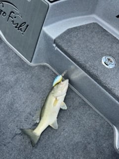 Fishing in Lufkin, Texas