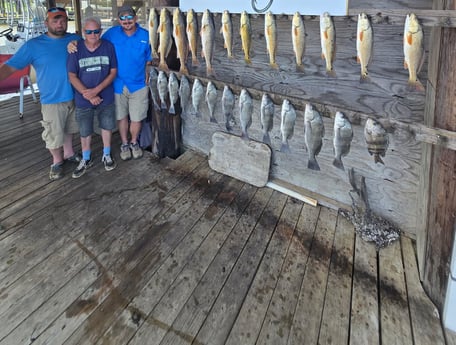 Fishing in Marrero, Louisiana
