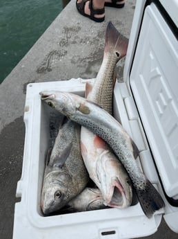 Fishing in Sarasota, Florida