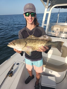 Gag Grouper fishing in St. Petersburg, Florida