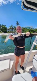 Fishing in Sarasota, Florida