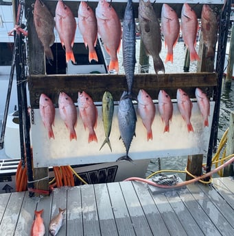 Fishing in Miramar Beach, Florida