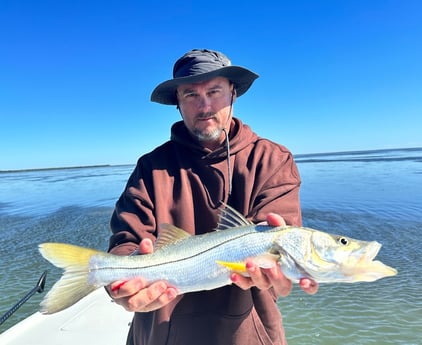 Snook Fishing in Tavernier, Florida