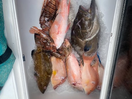 Fishing in Key West, Florida