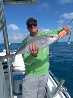 Amberjack fishing in Clearwater, Florida