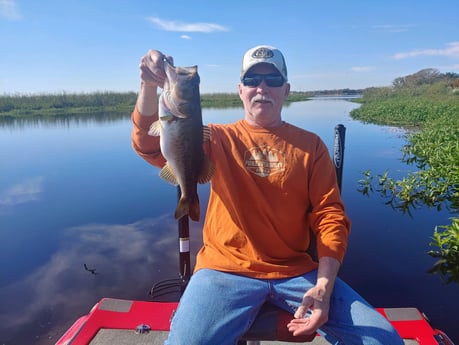 Largemouth Bass Fishing in Kissimmee, Florida