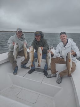 Bluefish, Redfish Fishing in Frisco, North Carolina