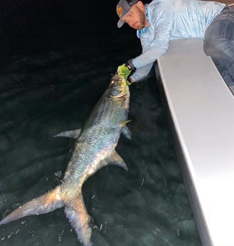 Tarpon Fishing in Miami, Florida