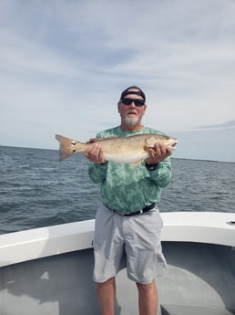Redfish Fishing in Hatteras, North Carolina