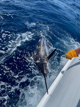 Fishing in Hatteras, North Carolina