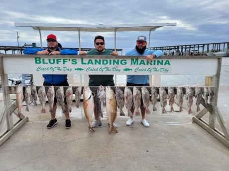 Black Drum, Redfish fishing in Corpus Christi, Texas