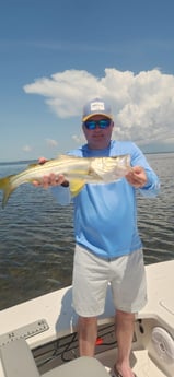 Fishing in Islamorada, Florida