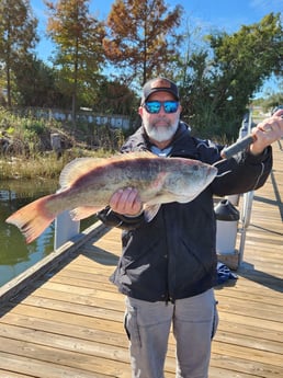 Gag Grouper Fishing in Pensacola, Florida