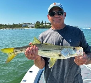 Snook Fishing in Sarasota, Florida