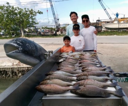 Mangrove Snapper Fishing in Marathon, Florida