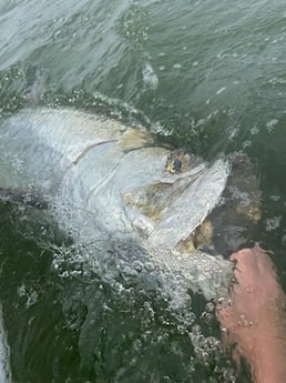 Fishing in Seminole, Florida