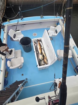 Fishing in Biloxi, Mississippi