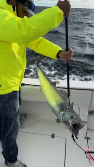 Wahoo Fishing in New Smyrna Beach, Florida