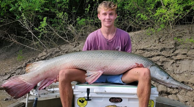 Alligator Gar fishing in Corsicana, Texas