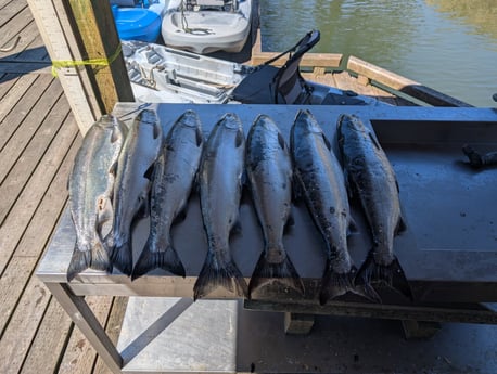 Fishing in Tangent, Oregon
