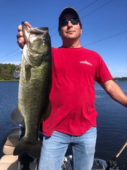 Largemouth Bass Fishing in Lake Fork, Texas