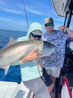 Amberjack Fishing in Naples, Florida