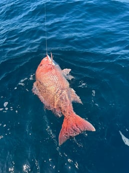Fishing in Santa Rosa Beach, Florida