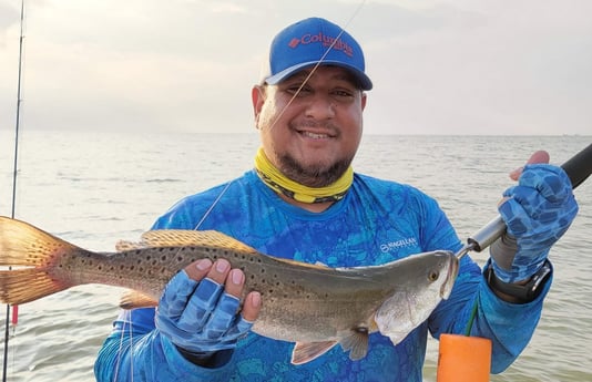 Speckled Trout / Spotted Seatrout fishing in San Leon, Texas