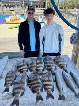 Fishing in Gulf Shores, Alabama
