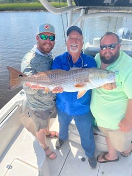 Redfish Fishing in Mount Pleasant, South Carolina