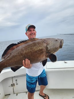 Fishing in Zephyrhills, Florida