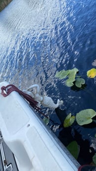 Fishing in Pembroke Pines, Florida