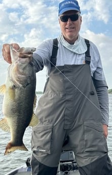 Largemouth Bass Fishing in Alba, Texas