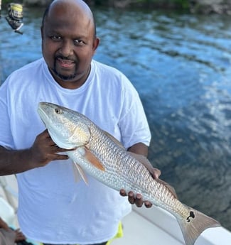 Redfish Fishing in Cape Coral, Florida