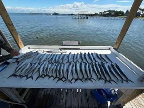 Fishing in Foley, Alabama